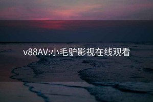 v88AV:小毛驴影视在线观看