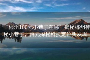 “郴州100元小巷子在哪”揭秘郴州神秘小巷子，百元探秘科技定位新发现