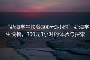 “勐海学生快餐300元3小时”勐海学生快餐，300元3小时的体验与探索