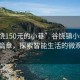 “谷饶150元的小巷”谷饶镇小巷的科技新篇章，探索智能生活的微观世界