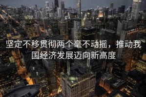 坚定不移贯彻两个毫不动摇，推动我国经济发展迈向新高度