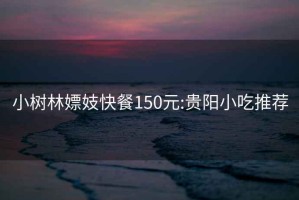 小树林嫖妓快餐150元:贵阳小吃推荐