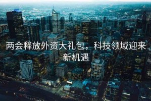 两会释放外资大礼包，科技领域迎来新机遇