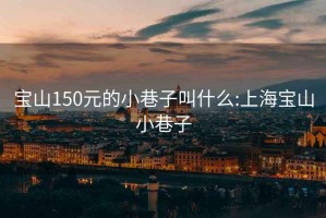 宝山150元的小巷子叫什么:上海宝山小巷子