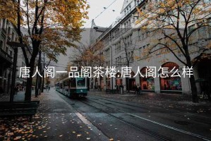 唐人阁一品阁茶楼:唐人阁怎么样