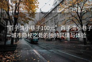 “百子湾小巷子100元”百子湾小巷子—城市隐秘之处的独特风情与体验