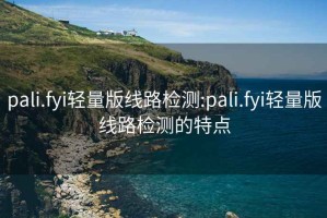 pali.fyi轻量版线路检测:pali.fyi轻量版线路检测的特点