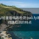 pali.fyi轻量版线路检测:pali.fyi轻量版线路检测的特点