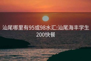 汕尾哪里有95或98水汇:汕尾海丰学生200快餐