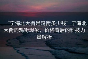 “宁海北大街是鸡街多少钱”宁海北大街的鸡街现象，价格背后的科技力量解析