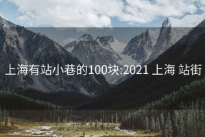 上海有站小巷的100块:2021 上海 站街