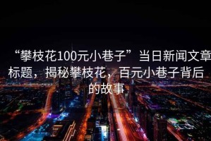 “攀枝花100元小巷子”当日新闻文章标题，揭秘攀枝花，百元小巷子背后的故事