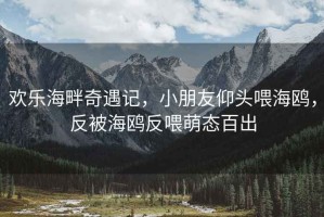 欢乐海畔奇遇记，小朋友仰头喂海鸥，反被海鸥反喂萌态百出