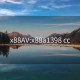 x88AV:x88a1398 cc