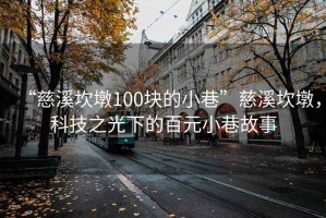 “慈溪坎墩100块的小巷”慈溪坎墩，科技之光下的百元小巷故事