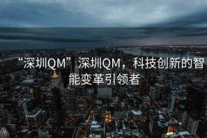 “深圳QM”深圳QM，科技创新的智能变革引领者