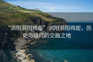 “浏阳洞阳鸡街”浏阳洞阳鸡街，历史与现代的交融之地