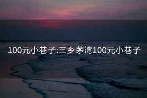 100元小巷子:三乡茅湾100元小巷子