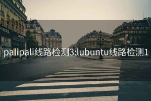 palipali线路检测3:lubuntu线路检测1