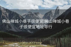 佛山禅城小巷子很便宜:佛山禅城小巷子很便宜地址导行