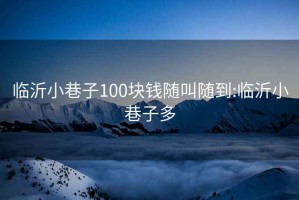 临沂小巷子100块钱随叫随到:临沂小巷子多