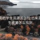 出来卖的学生资源怎么找:出来卖的学生资源怎么找到