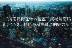 “渭南鸡街在什么位置”揭秘渭南鸡街，定位、特色与科技融合的魅力所在