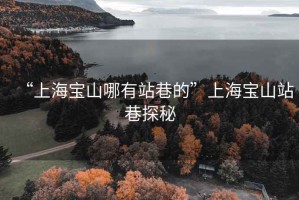 “上海宝山哪有站巷的”上海宝山站巷探秘