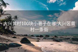 大兴黄村100块小巷子在哪:大兴区黄村一条街