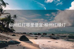 柳州红灯哪里便宜:柳州红绿灯