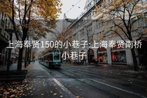 上海奉贤150的小巷子:上海奉贤南桥小巷子