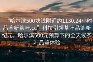 “哈尔滨500块钱附近约1130.24小时品鉴新茶叶.cc”科技引领茶叶品鉴新纪元，哈尔滨500元预算下的全天候茶叶品鉴体验