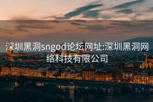 深圳黑洞sngod论坛网址:深圳黑洞网络科技有限公司