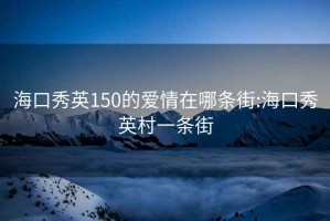 海口秀英150的爱情在哪条街:海口秀英村一条街