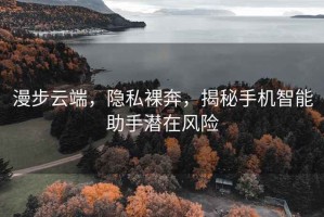 漫步云端，隐私裸奔，揭秘手机智能助手潜在风险