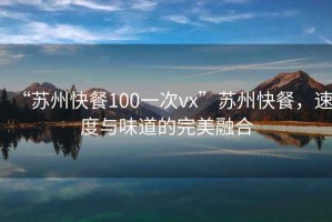 “苏州快餐100一次vx”苏州快餐，速度与味道的完美融合