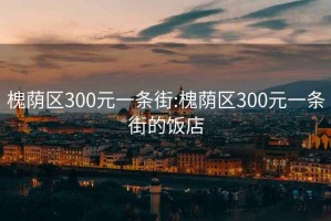 槐荫区300元一条街:槐荫区300元一条街的饭店