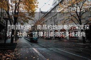 “南昌约炮”南昌约炮现象的深度探讨，社会、法律与道德的多维视角