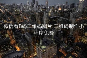 微信看B码二维码图片:二维码制作小程序免费