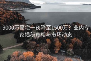 9000万豪宅一夜降至1500万？业内专家揭秘真相与市场动态