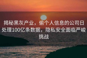 揭秘黑灰产业，偷个人信息的公司日处理100亿条数据，隐私安全面临严峻挑战