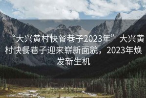 “大兴黄村快餐巷子2023年”大兴黄村快餐巷子迎来崭新面貌，2023年焕发新生机