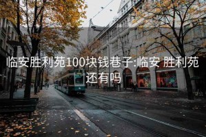 临安胜利苑100块钱巷子:临安 胜利苑 还有吗