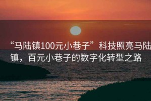 “马陆镇100元小巷子”科技照亮马陆镇，百元小巷子的数字化转型之路