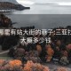 三亚哪里有站大街的巷子:三亚找姑娘大概多少钱