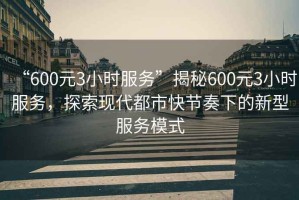 “600元3小时服务”揭秘600元3小时服务，探索现代都市快节奏下的新型服务模式