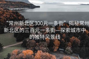 “常州新北区300元一条街”揭秘常州新北区的三百元一条街—探索城市中的独特风景线