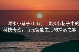 “溧水小巷子100元”溧水小巷子中的科技奇迹，百元智能生活的探索之旅