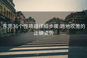 东莞36个性项目详细步骤:跪地吹箫的正确姿势