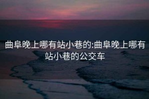 曲阜晚上哪有站小巷的:曲阜晚上哪有站小巷的公交车